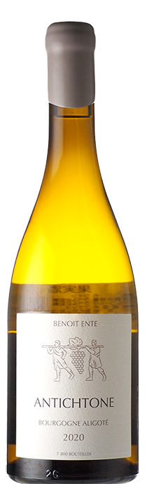  Bourgogne Aligoté Antichtone / Benoît Ente ブルゴーニュ・アリゴテ　アンティクトン / ブノワ・アント 2020